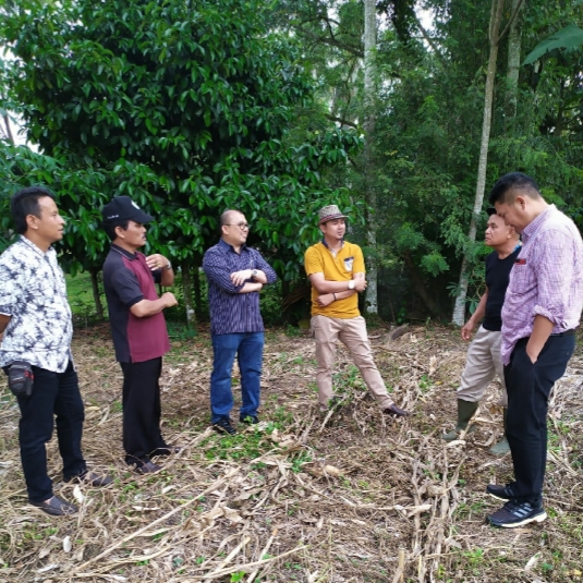 M. Rahmad Undang Wagub Sumbar Nasrul Abit Tanam Jagung Perdana di Limapuluh Kota