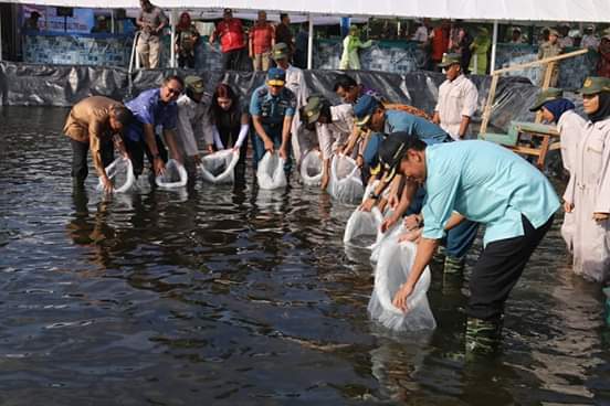 Serbuan Teritorial TNI 2019 di Pariaman Bantu Bibit Ikan dan Mangrove