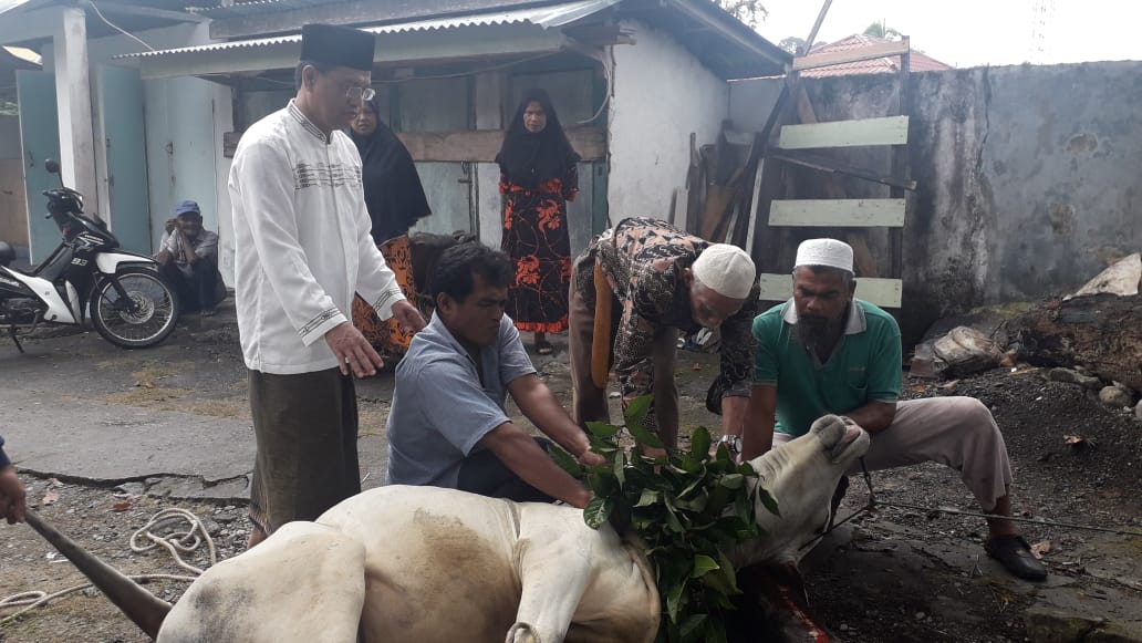 Kandidat Bupati Pasaman Afrizal Kurban 2 Ekor Sapi di Bonjol