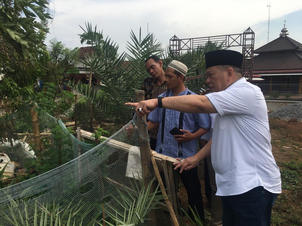 Ketua DPD RI LaNyalla Sambangi Kebun Kurma Yayasan Lingkar Perdamaian Lamongan