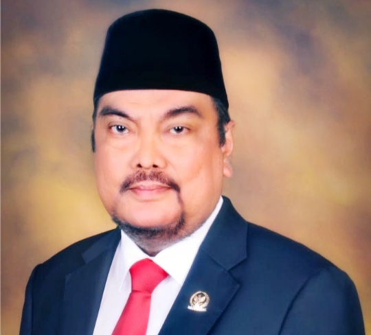 Ketua BK DPD RI Leonardy Desak Pemerintah untuk Lengkapi APD Tenaga Medis