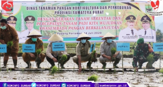 Menuju Daerah Swasembada Pangan Nasional, Sumbar Lakukan Tanam Padi Serentak
