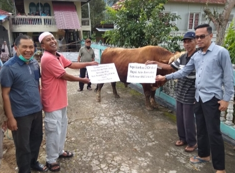 Sapi Kurban Gubernur DKI Jakarta Anies Baswedan Sampai ke Kamang Hilia
