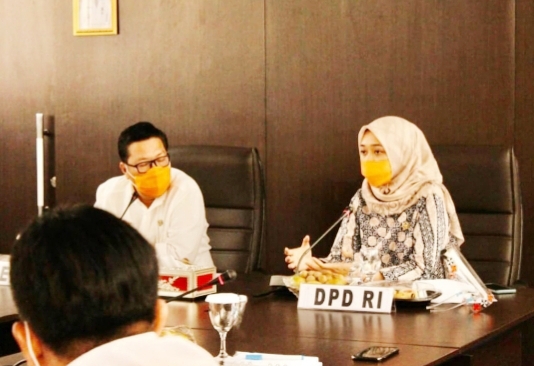 Senator Dokter Jihan Apresiasi Ranperda Pesantren di Lampung