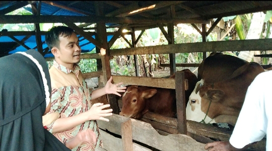 Tim Pengabdian LPPM Unand Beri Penyuluhan IB pada Peternak Sapi di Lareh Sago Halaban