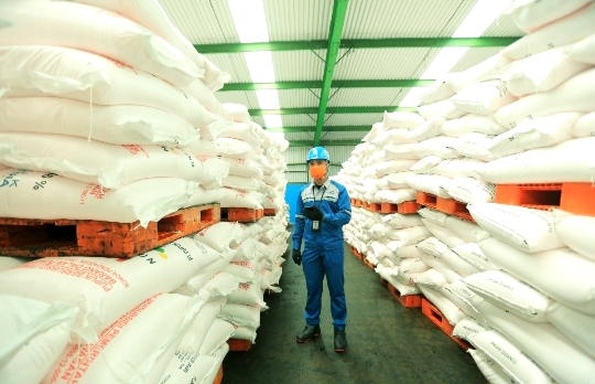 Dipastikan Sesuai Alokasi, Stok Pupuk Subsidi Sumbar Tercatat 11.718 Ton