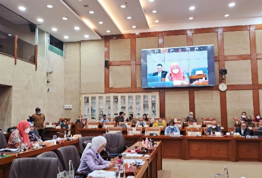 Ratifikasi IK-CEPA, Nevi Zuairina Dorong Perlindungan UMKM dan Percepatan Infrastruktur Komunikasi Digital