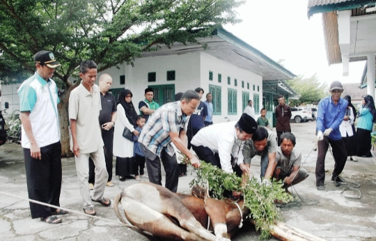 Selama Idul Adha Jumlah Hewan Kurban di Pasaman Meningkat