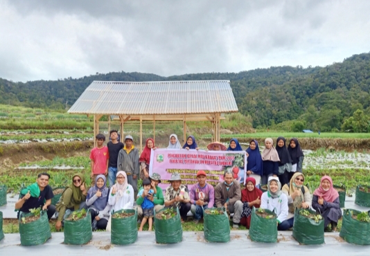 Tim PKM Unand Bantu Pengembangan Produksi Budidaya Stroberi pada Kelompok Tani Lubuek Kabau Sepakat