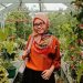 Bagaimanakah Asal-Usul Suku di Minangkabau?