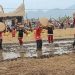 Di Festival Baluluak Bajarami Nagari Kumango, Bupati Eka Putra Ikut Serta Mairiak Padi