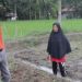 2 Piring Basawah Pokok Murah, Petani Penti Hendriani Hasilkan 10 Karung Beras