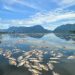 Pemkab Agam Upayakan Penyelamatan Danau Maninjau Melalui Eco Enzym