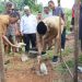 Bupati Sijunjung Benny Yuswir Letakkan Batu Pertama Pembangunan Rumah Layak Huni Program Baznas