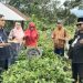 Sebelum Acara “Mengenang Sang Legenda Chairul Harun”, Hamas Ziarah ke Pusara Almarhum di Kayu Tanam