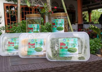 Mahasiswa Doktoral UM Malang Latih Poktan “Mekar Tani” Jorong Gando Piobang Limapuluh Kota Buat Aneka Produk dari Bayam Brazil dalam Rangka Pemberdayaan Masyarakat