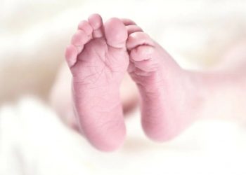 Belum Ada yang Akui Bayi Perempuan dalam Kardus, Dinas Sosial Sijunjung Kembali Lakukan Imbauan