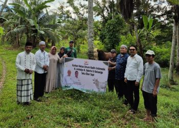 Masjid Taqwa Muhammadiyah Pakandangan Sembelih Sapi Kurban Ketum Kadin Indonesia Anindya N Bakrie Seberat 1/2 Ton