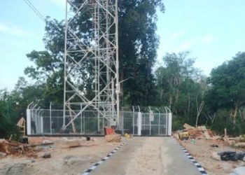 100 Hari Annisa-Leli Memimpin Dharmasraya, 4 BTS Berdiri di Nagari yang Selama Ini Blankspot