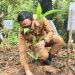 Bupati Mentawai Rinto Wardana Launching Penanaman 90 Ribu Batang Rotan Manau