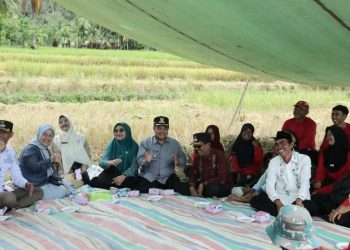 Program “Sawah Pokok Murah” di Paninjauan Hasilkan Panen Padi Hingga 2 Kali Lipat