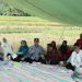 Program “Sawah Pokok Murah” di Paninjauan Hasilkan Panen Padi Hingga 2 Kali Lipat