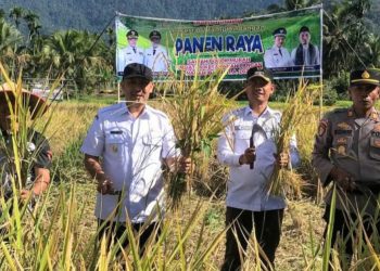 Panen Raya SPM di Bayur, Langkah Strategis Dukung Ketahanan Pangan di Agam