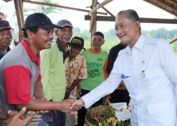 Infrastruktur JIAT Kementerian PU Dongkrak Produktivitas Petani Gunung Kidul, Panen Kini Tiga Kali Setahun