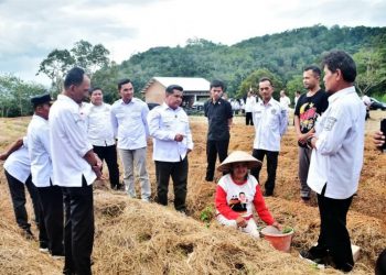 Pastikan Program Prioritas Berjalan Optimal, Bupati Agam Kunjungi Lima Nagari Sekaligus