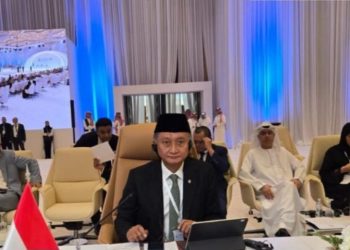 Pertemuan Menteri OKI di Jedah, Menteri PU Dody Ajak Perkuat Kerjasama Bidang Sumber Daya Air