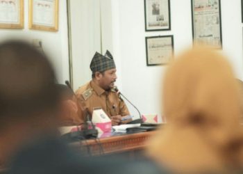 Pemprov Sumbar Jadikan Pangian Pilot Project Nagari Creative Hub di Tanah Datar