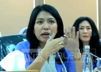 Lakukan RDPU dengan Komisi XIII DPR RI, HAKAN Sampaikan Tiga Poin Utama Terkait Revisi Kebijakan Kewarganegaraan