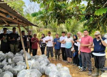 Dukung Program OVOP, Pemkab Dharmasraya Bantu Kelompok Budidaya Ikan dengan Bibit dan Peralatan Produksi Pakan