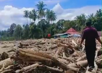 Puisi Esai Era Nurza: “Pada Lumpur Itu, Kami Menanam Kekuatan Baru”