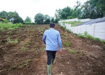 Bangun Huntap Terpadu, Pemkab Tanah Datar Siapkan 2 Hektare Lahan