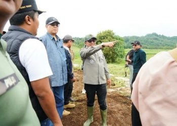 Dirjen Kementerian PKP Tinjau Lokasi Rencana Pembangunan Huntap Terpadu di Tanah Datar