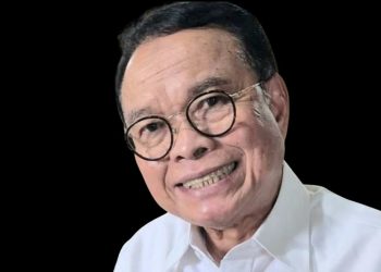 Menata Ulang Pilkada, Prof Djohermansyah Usulkan Pilkada Asimetris