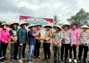 Panen Raya Jagung, Polres Agam Perkuat Ketahanan Pangan Nasional