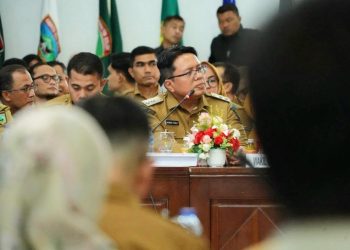 Di Rakor Rehab Rekon Bersama Mendagri, Wabup Tanah Datar Usulkan Adanya Penambahan Huntara