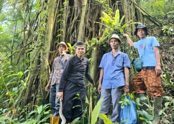 Cegah Bencana Galodo, KAN Lasi “Manyilau Rimbo” di Lahan Milik Nagari