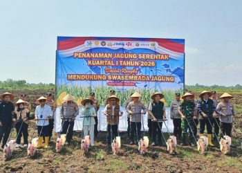 Apresiasi Kolaborasi Polda Sumbar – PT Paten Mekar Tani Tanam Jagung, Bupati JKA: Bisa Serap Ratusan Tenaga Kerja