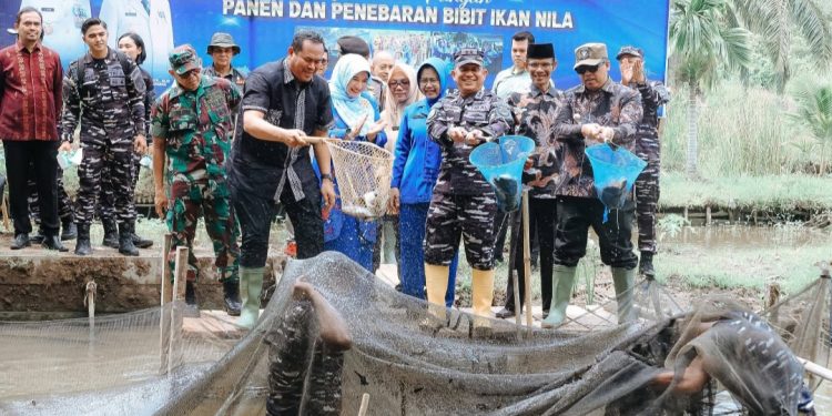 Kodaeral II Padang Panen Raya Ikan Nila di Desa Kampung Kandang Pariaman