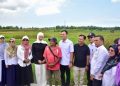Sambut Kunjungan Reses Cindy Monica Salsabila, Wabup Rahmat Hidayat: Bahas Percepatan Pemulihan Lahan Pertanian Pascabencana