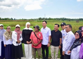Sambut Kunjungan Reses Cindy Monica Salsabila, Wabup Rahmat Hidayat: Bahas Percepatan Pemulihan Lahan Pertanian Pascabencana