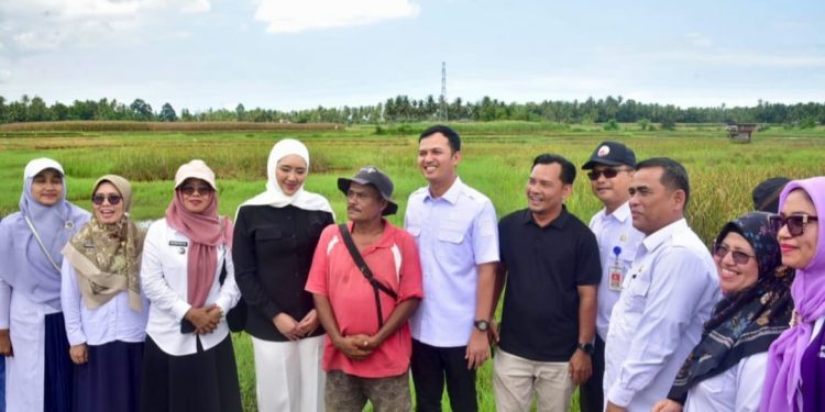 Sambut Kunjungan Reses Cindy Monica Salsabila, Wabup Rahmat Hidayat: Bahas Percepatan Pemulihan Lahan Pertanian Pascabencana