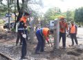 Tekan Risiko Kecelakaan, KAI Divre II Sumbar Kembali Tutup Perlintasan Liar di Padang Pariaman