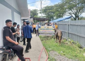 Warga Huntara Lubuk Buaya Padang Dapat Bantuan Tiga Ekor Sapi