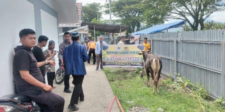 Warga Huntara Lubuk Buaya Padang Dapat Bantuan Tiga Ekor Sapi