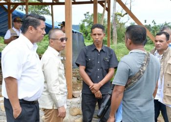 Dradjad Hari Wibowo: PNM Ikut Berkontribusi Memulihkan Ekonomi Masyarakat Pascabencana
