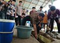 Walikota Pariaman Yota Balad Lakukan Peletakan Batu Pertama Pembangunan 2 Unit RTLH